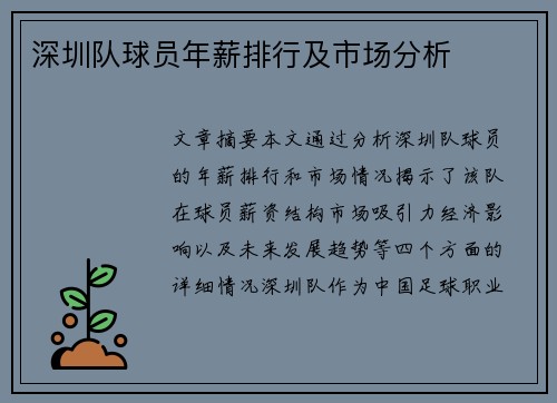 深圳队球员年薪排行及市场分析